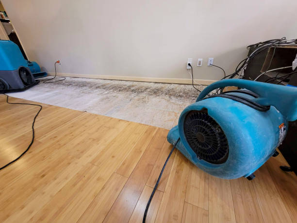 Professional Structural Drying technician working in Pacific Junction, IA